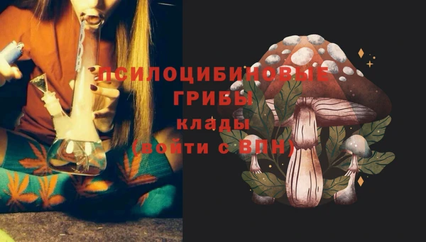 spice Семёнов