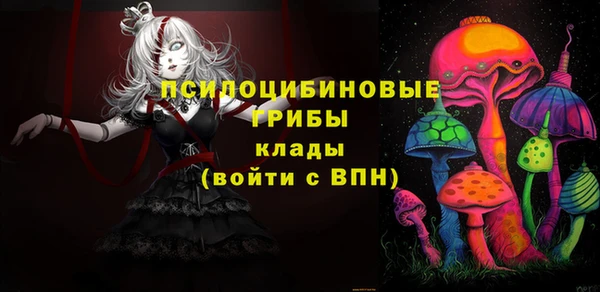 дмт Абаза