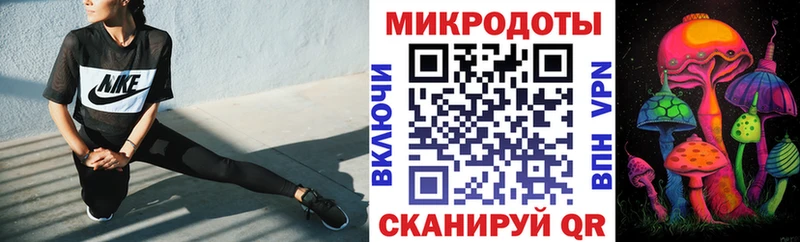 Галлюциногенные грибы прущие грибы  Гусиноозёрск 